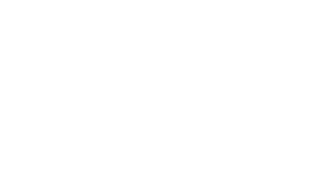McGills logo