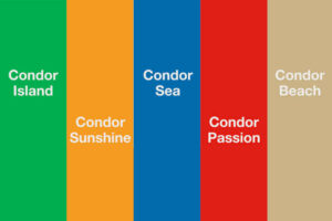 Condor colours